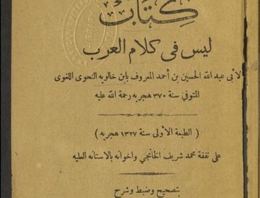 ليس في كلام العرب