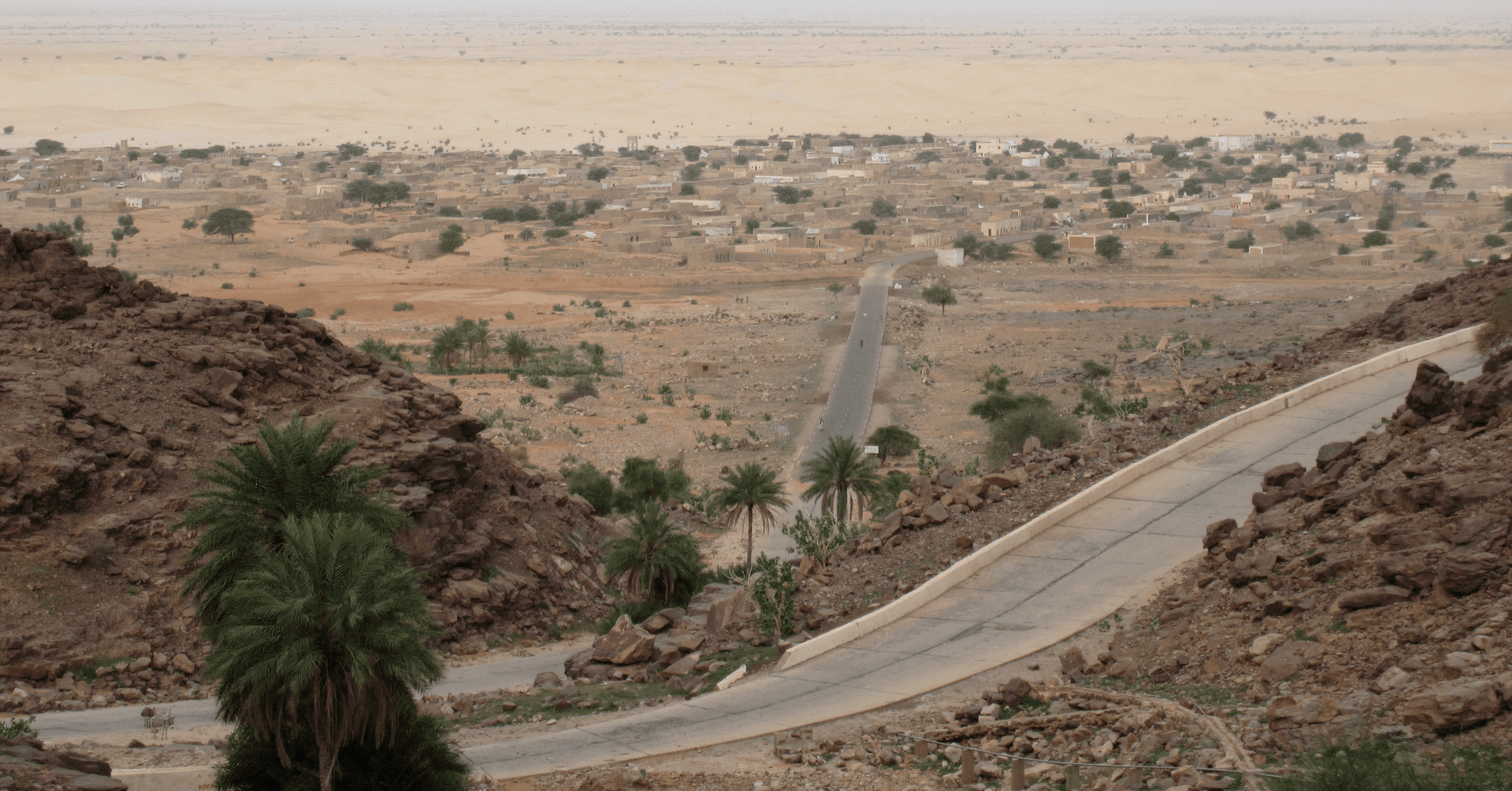 كيف سطع الشعر في بلاد الشمس.. ابن رازكه نموذجا