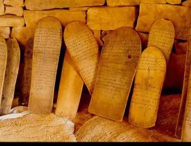 رؤى لتطوير المنظومة المحظرية